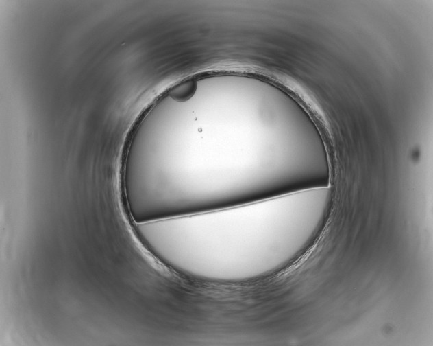 X0000099551237200805160718