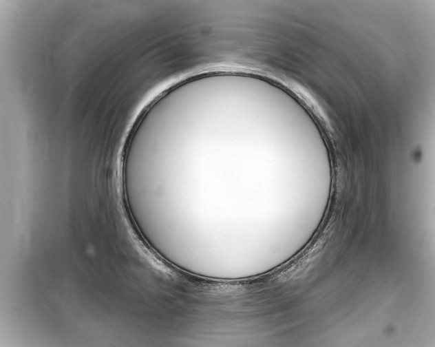X0000099551238200805160718