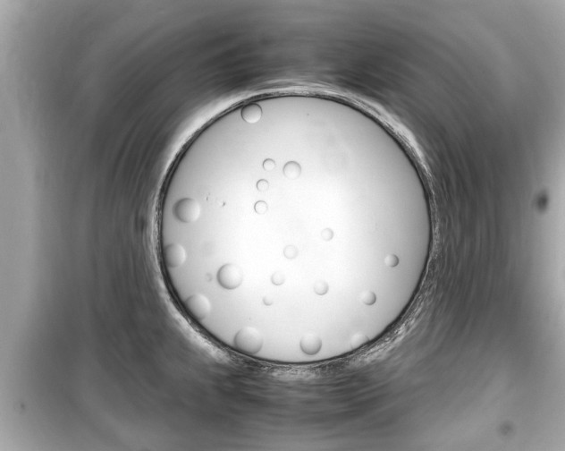 X0000099551239200805160718