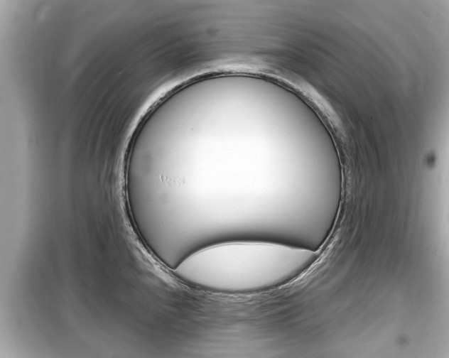 X0000099551240200805160718