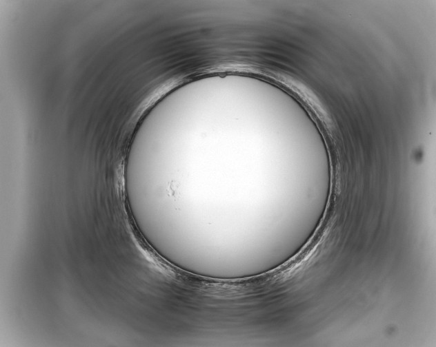 X0000099551241200805160718