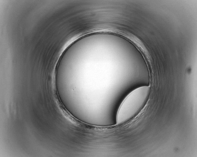 X0000099551242200805160718