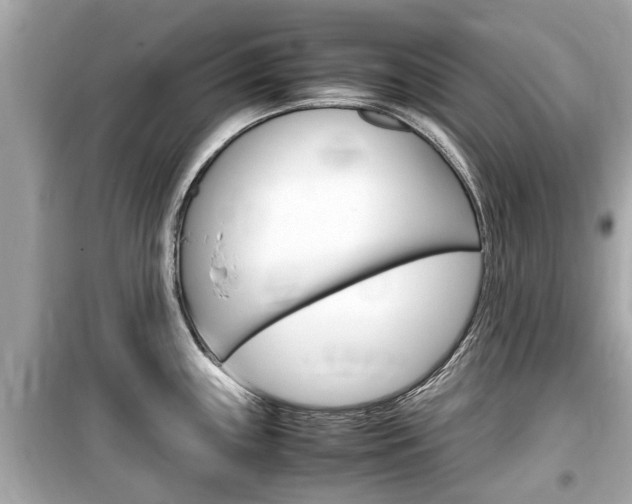 X0000099551243200805160718