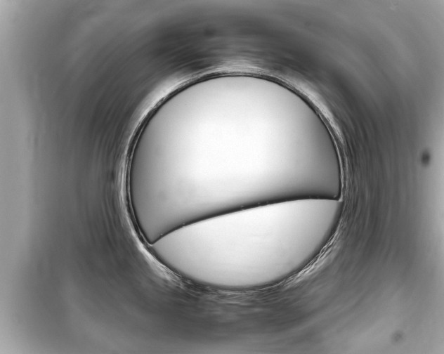 X0000099551245200805160718