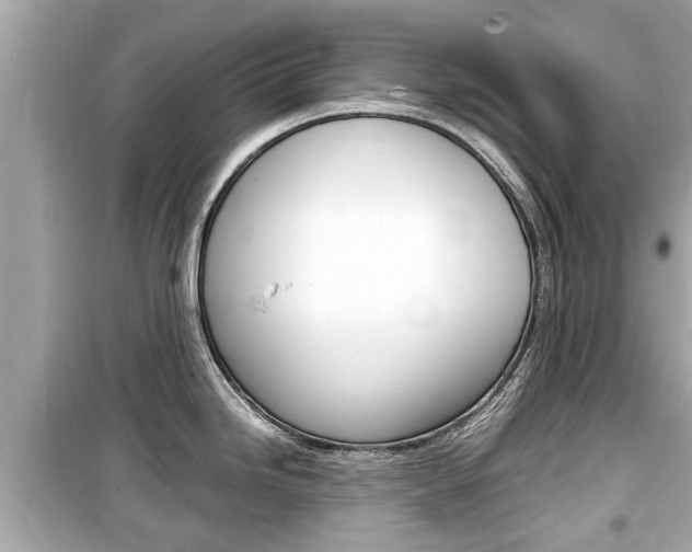 X0000099551246200805160718