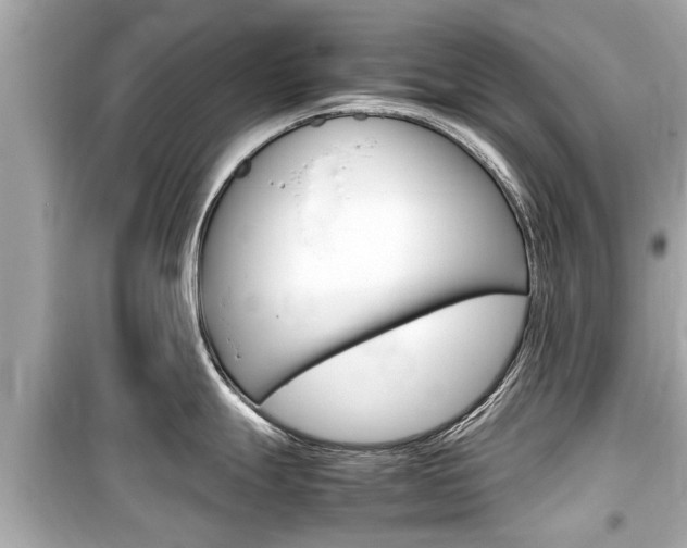 X0000099551247200805160718
