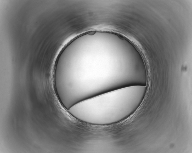 X0000099551248200805160718
