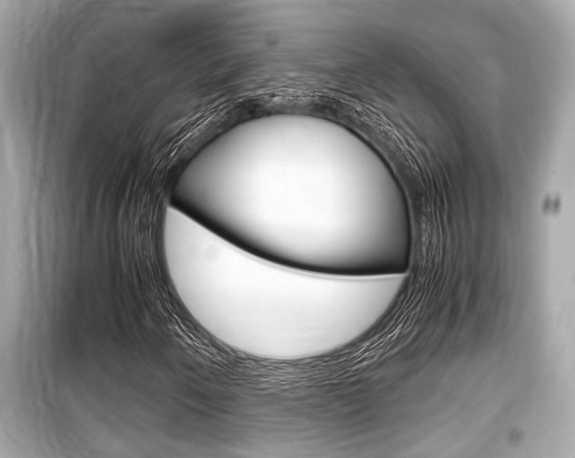 X0000099551250200805160718