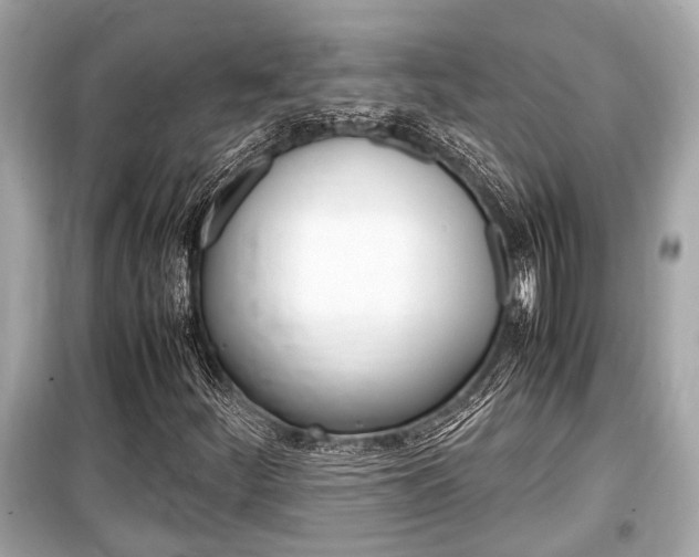 X0000099551252200805160718