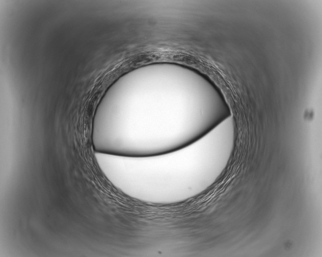 X0000099551253200805160718