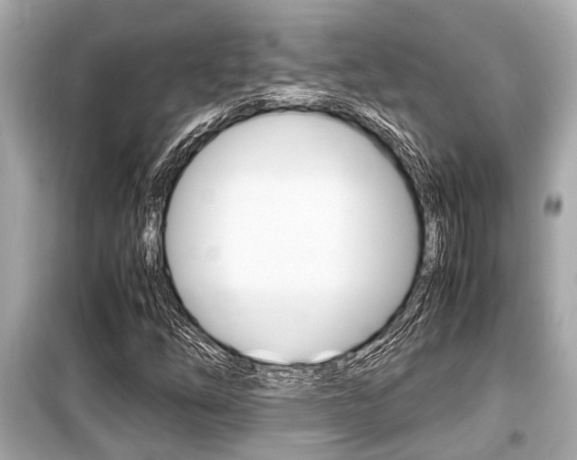 X0000099551254200805160718