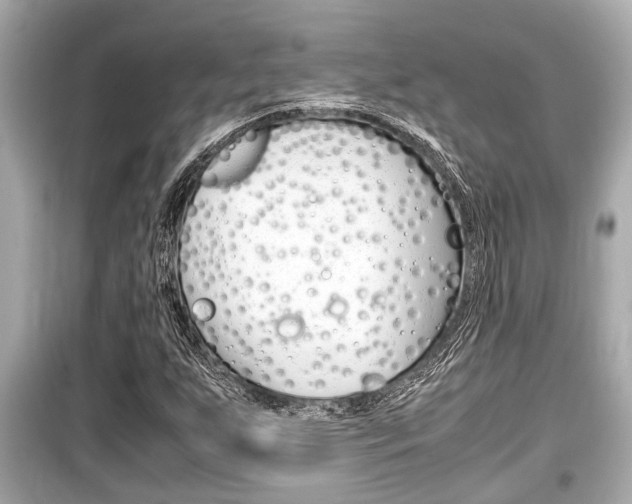 X0000099551255200805160718
