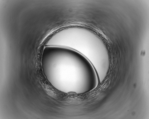 X0000099551256200805160718