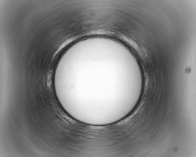 X0000099551258200805160718