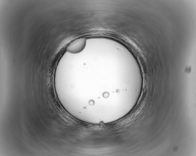 X0000099551259200805160718