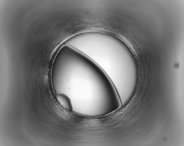 X0000099551260200805160718