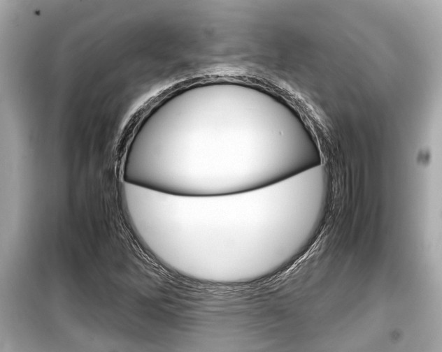 X0000099551262200805160718