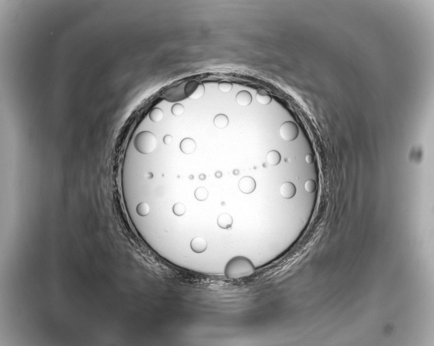 X0000099551263200805160718
