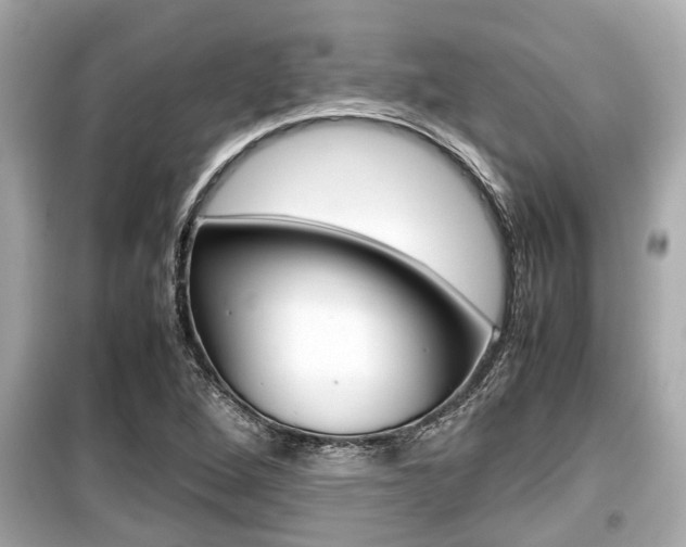 X0000099551264200805160718