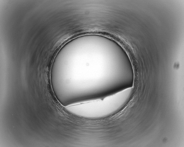 X0000099551265200805160718