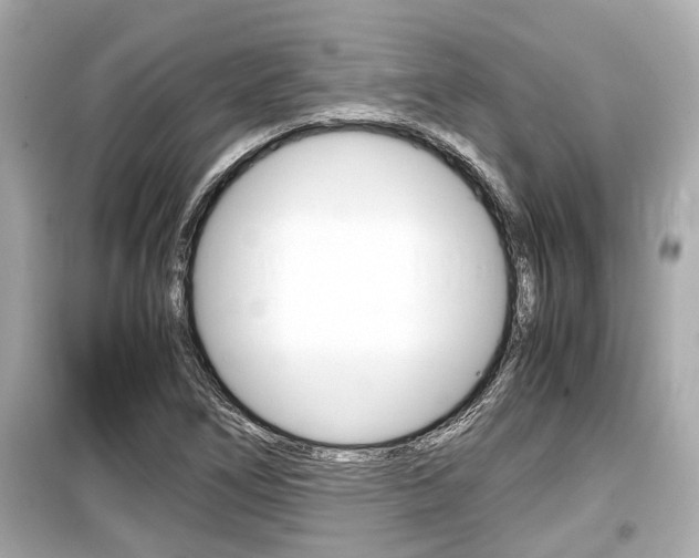 X0000099551266200805160718