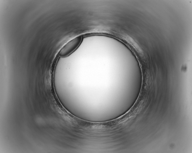 X0000099551268200805160718