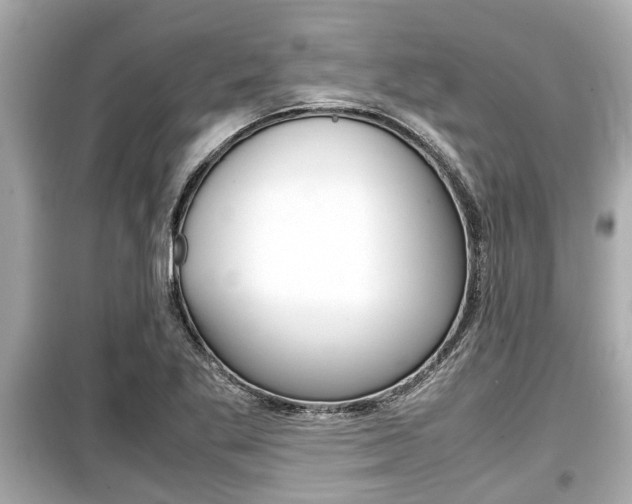 X0000099551269200805160718