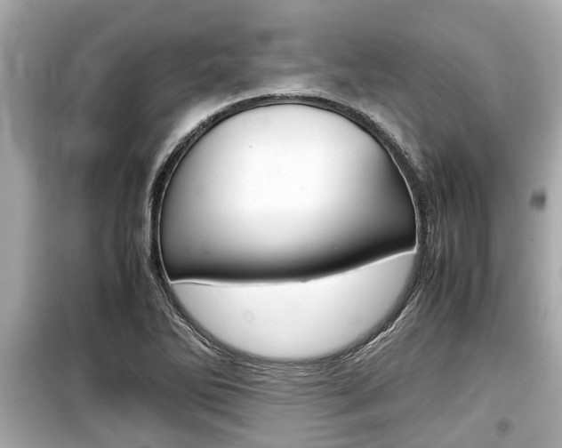 X0000099551270200805160718