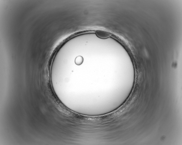 X0000099551271200805160718