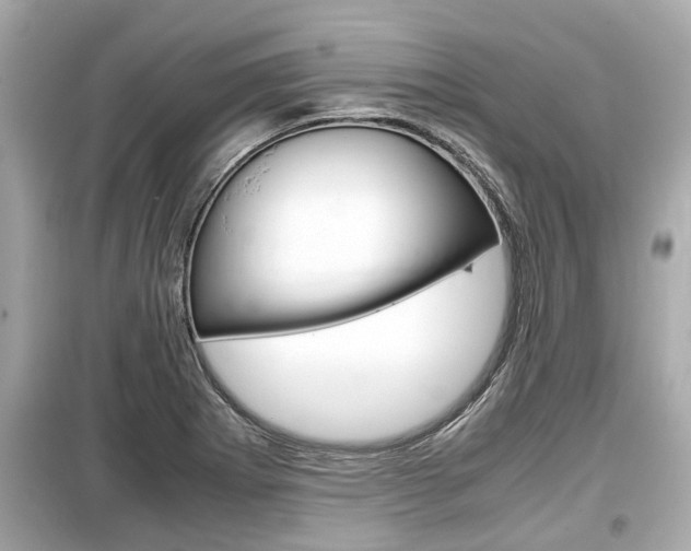 X0000099551273200805160717