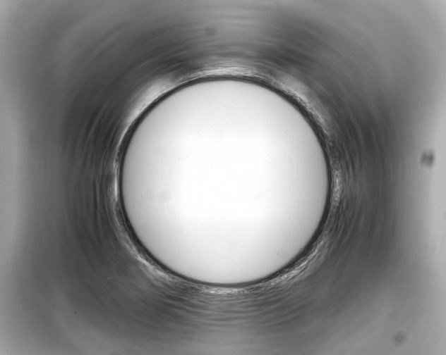 X0000099551274200805160717