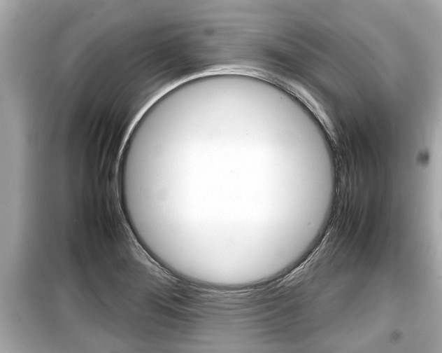 X0000099551276200805160717