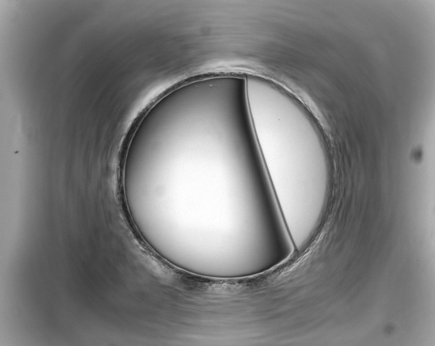 X0000099551277200805160717