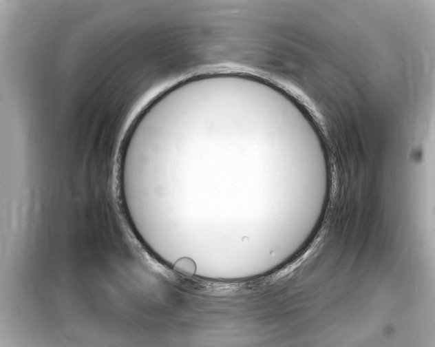 X0000099551278200805160717