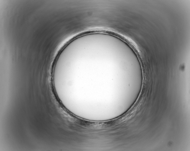 X0000099551279200805160717