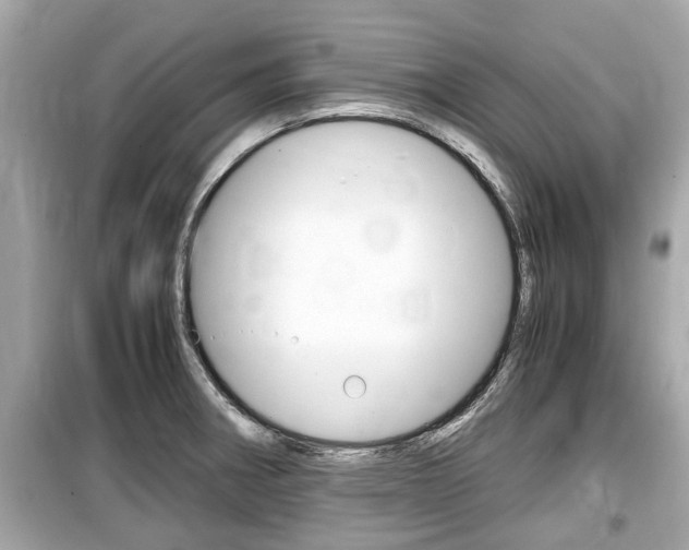 X0000099551282200805160717