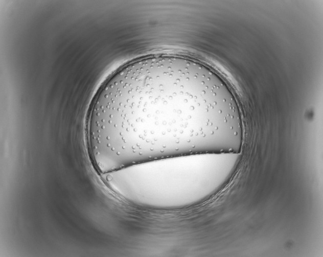 X0000099551283200805160717