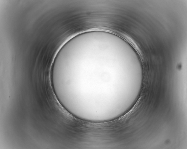 X0000099551284200805160717