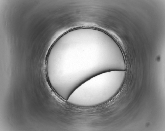 X0000099551287200805160717