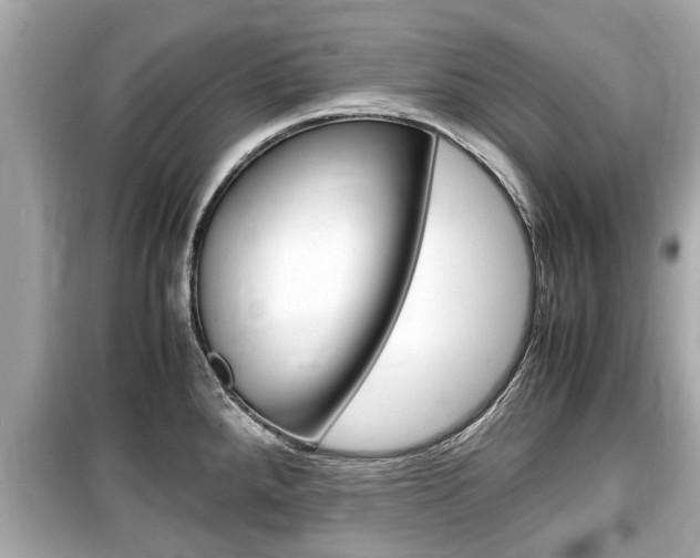 X0000099551288200805160717
