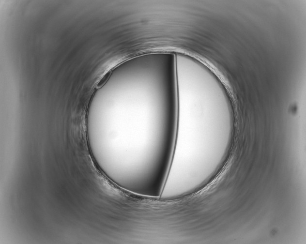 X0000099551289200805160717