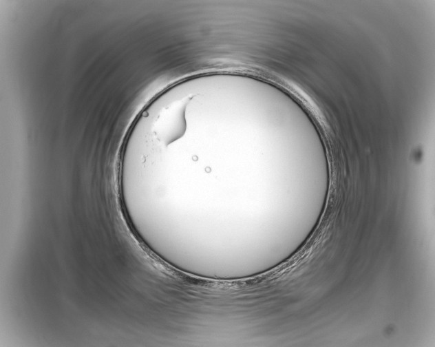 X0000099551291200805160717
