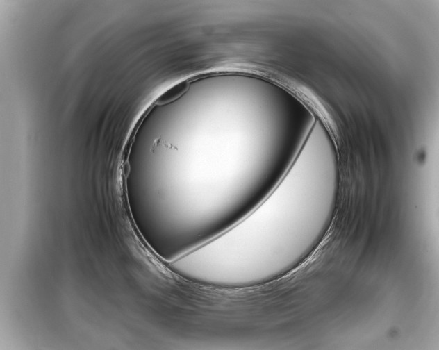 X0000099551292200805160717