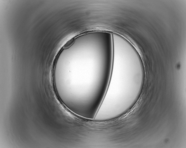 X0000099551293200805160717