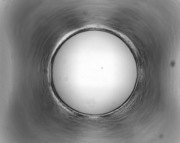 X0000099551295200805160717