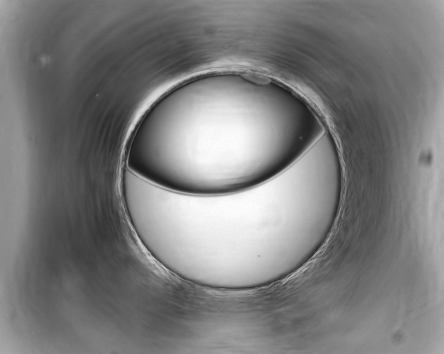 X0000099551296200805160717