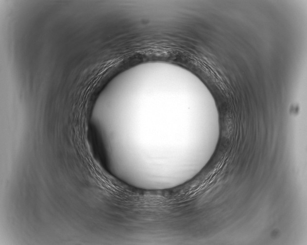 X0000099551297200805160717