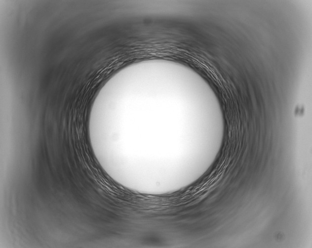X0000099551298200805160717