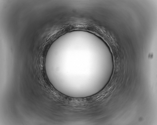 X0000099551301200805160717