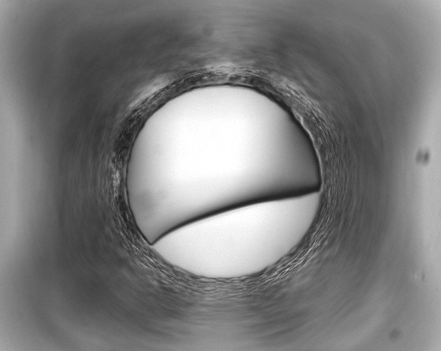 X0000099551302200805160717